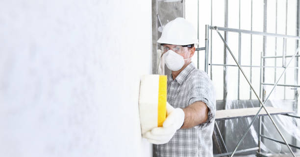 Best Basement Mold Removal  in Ingleside, TX